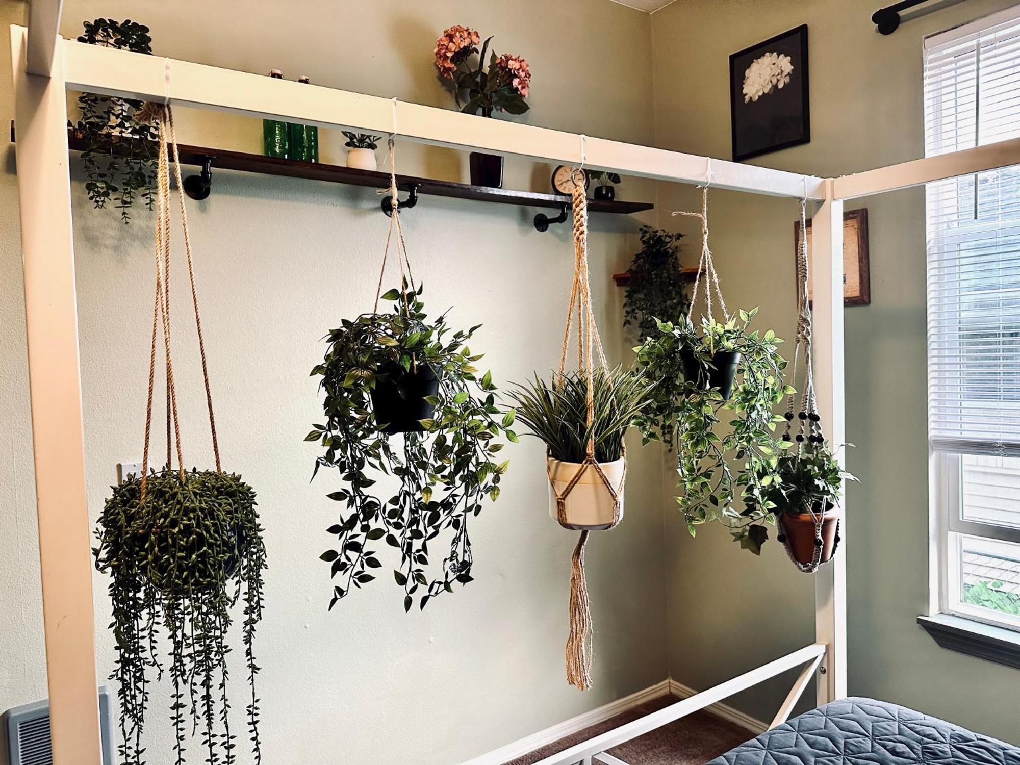 Appartamento Mr. Mcgregor'S Garden Salem Esterno foto
